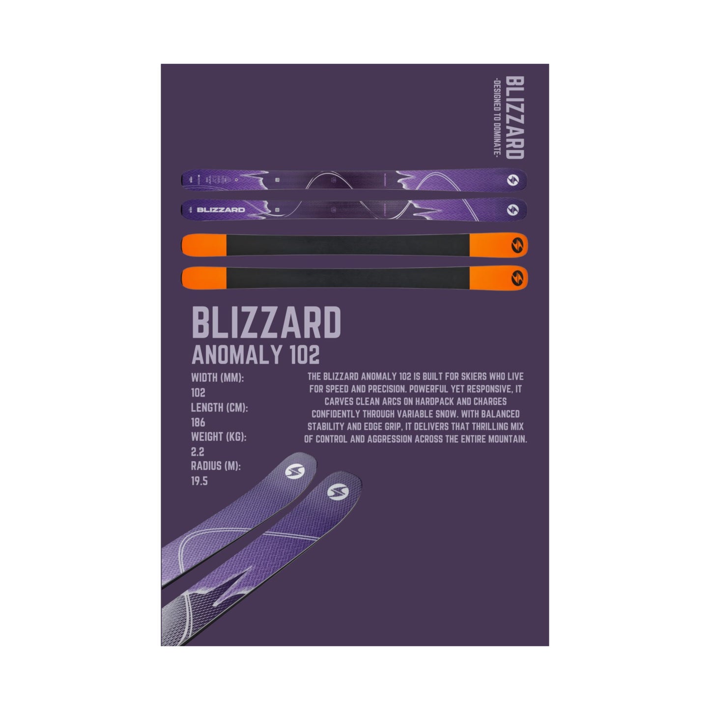 Blizzard Anomaly 102